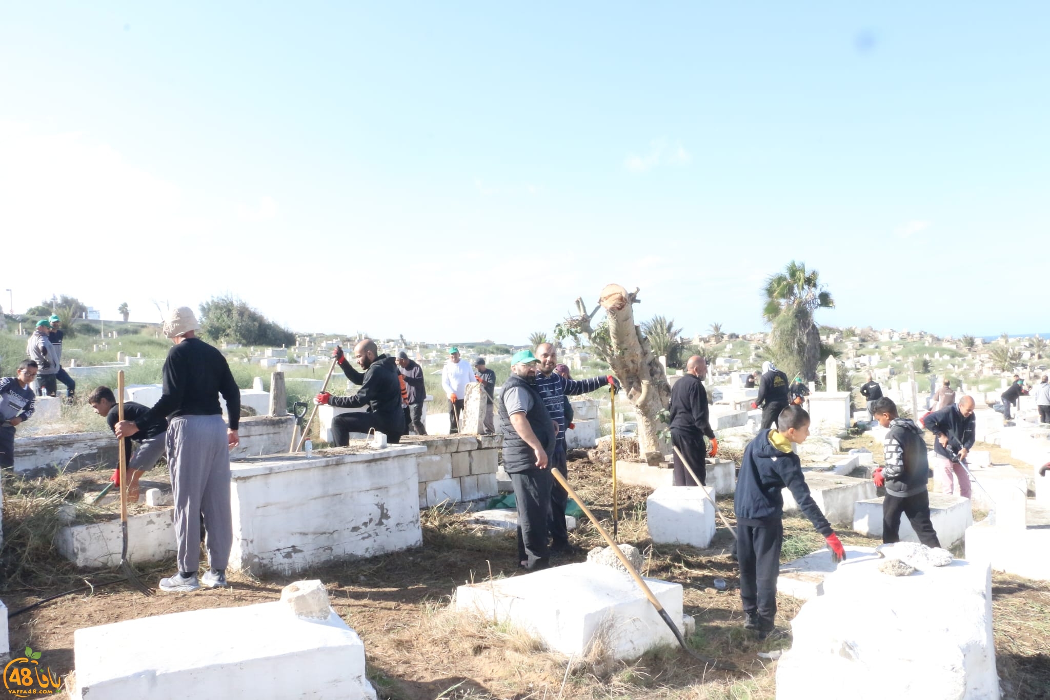 مشاركة واسعة في معسكر العمل في مقبرة الكازاخانة بمدينة يافا
